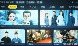 陈赫人品爆料视频在线观看,真相与舆论的漩涡