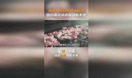 淄博烧烤爆料事件真相最新